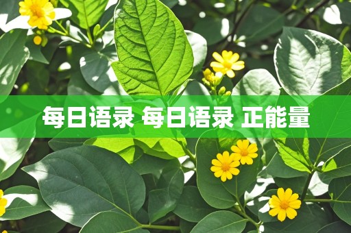 每日语录 每日语录 正能量