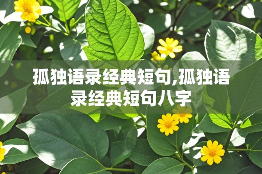 孤独语录经典短句,孤独语录经典短句八字