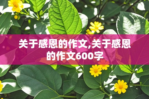 关于感恩的作文,关于感恩的作文600字