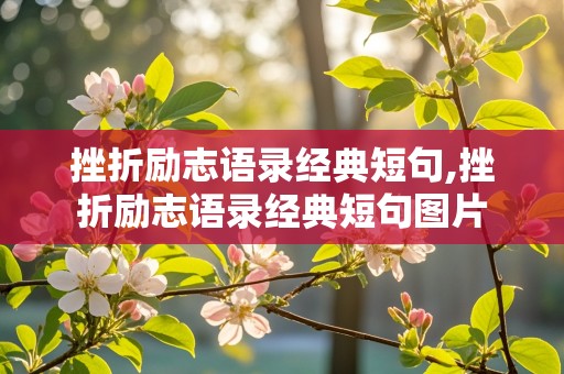 挫折励志语录经典短句,挫折励志语录经典短句图片