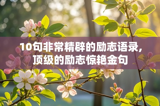 10句非常精辟的励志语录,顶级的励志惊艳金句