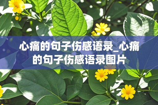 心痛的句子伤感语录_心痛的句子伤感语录图片