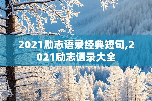 2021励志语录经典短句,2021励志语录大全