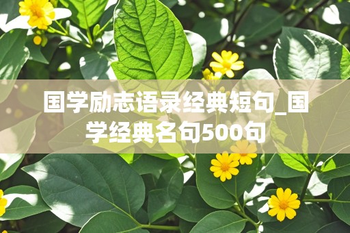 国学励志语录经典短句_国学经典名句500句