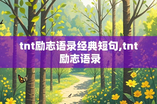 tnt励志语录经典短句,tnt 励志语录