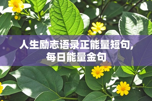 人生励志语录正能量短句,每日能量金句