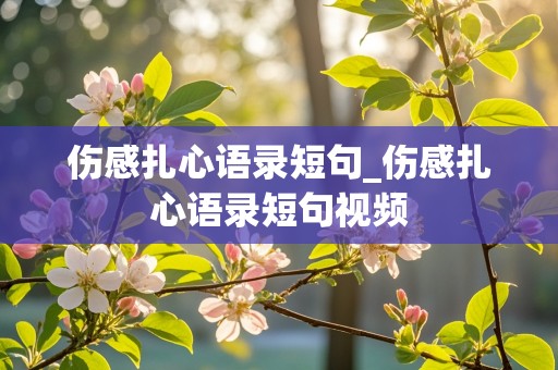 伤感扎心语录短句_伤感扎心语录短句视频