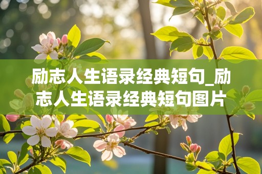 励志人生语录经典短句_励志人生语录经典短句图片