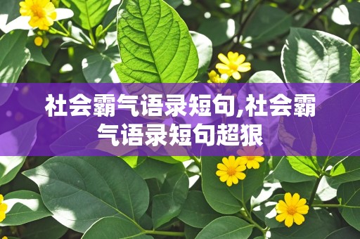 社会霸气语录短句,社会霸气语录短句超狠