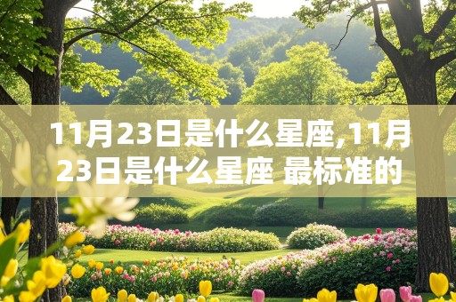 11月23日是什么星座,11月23日是什么星座 最标准的