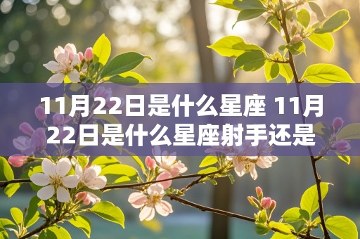 11月22日是什么星座 11月22日是什么星座射手还是摩羯