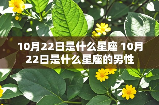 10月22日是什么星座 10月22日是什么星座的男性