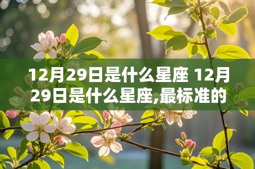 12月29日是什么星座 12月29日是什么星座,最标准的