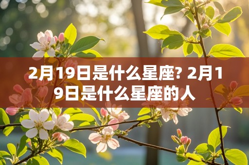 2月19日是什么星座? 2月19日是什么星座的人