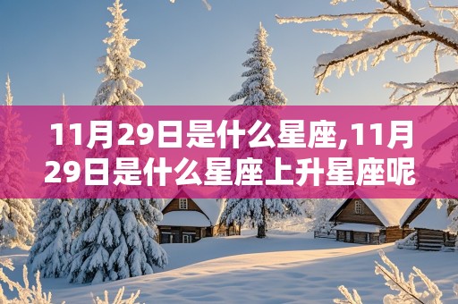 11月29日是什么星座,11月29日是什么星座上升星座呢