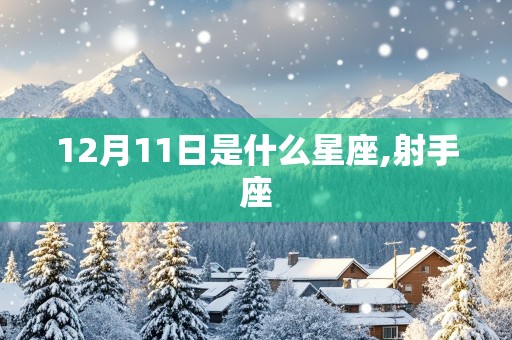 12月11日是什么星座,射手座