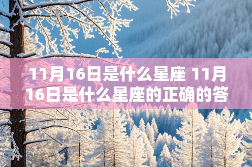 11月16日是什么星座 11月16日是什么星座的正确的答案