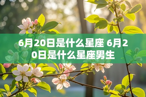 6月20日是什么星座 6月20日是什么星座男生