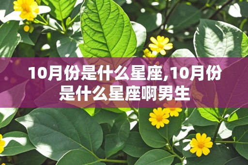 10月份是什么星座,10月份是什么星座啊男生