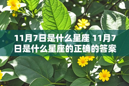 11月7日是什么星座 11月7日是什么星座的正确的答案