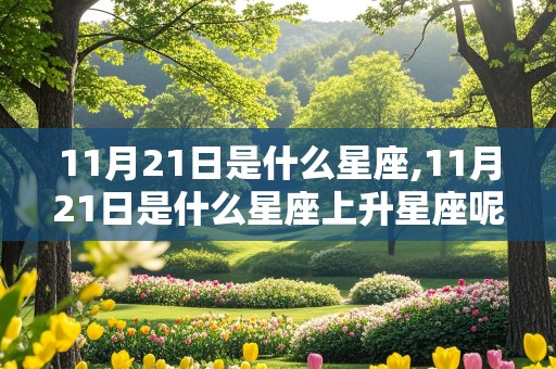 11月21日是什么星座,11月21日是什么星座上升星座呢