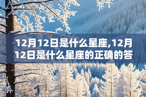 12月12日是什么星座,12月12日是什么星座的正确的答案