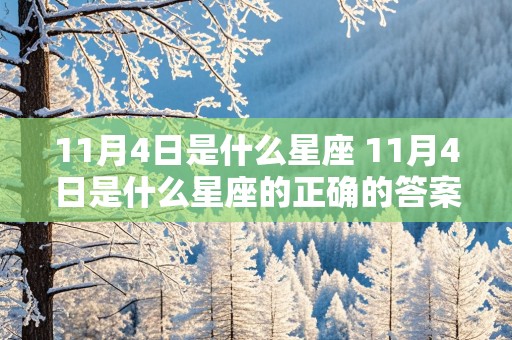 11月4日是什么星座 11月4日是什么星座的正确的答案