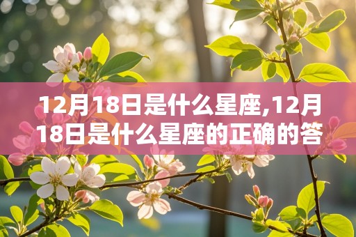 12月18日是什么星座,12月18日是什么星座的正确的答案