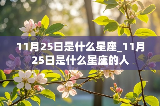 11月25日是什么星座_11月25日是什么星座的人