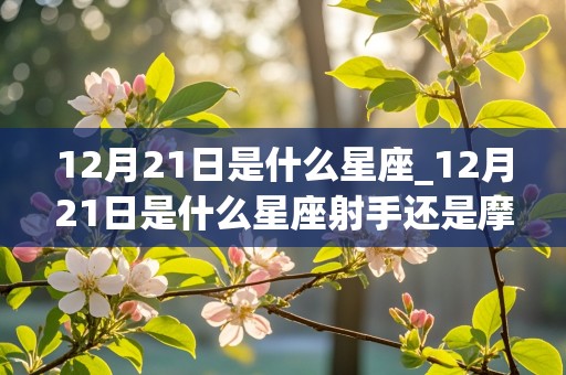 12月21日是什么星座_12月21日是什么星座射手还是摩羯