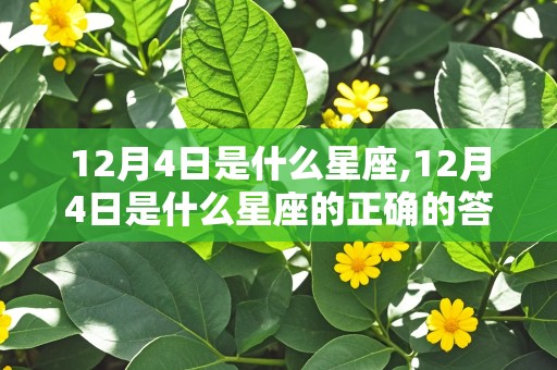 12月4日是什么星座,12月4日是什么星座的正确的答案