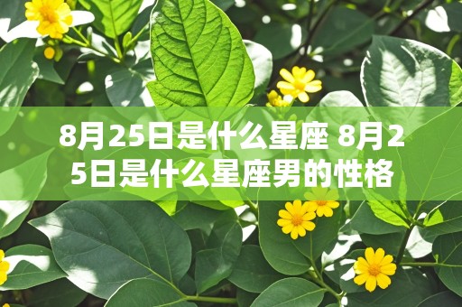 8月25日是什么星座 8月25日是什么星座男的性格