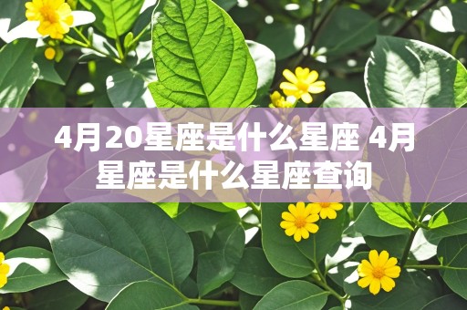 4月20星座是什么星座 4月星座是什么星座查询