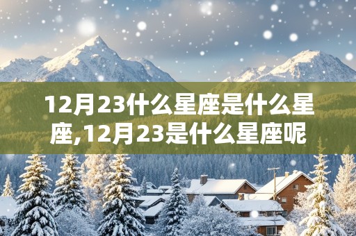 12月23什么星座是什么星座,12月23是什么星座呢