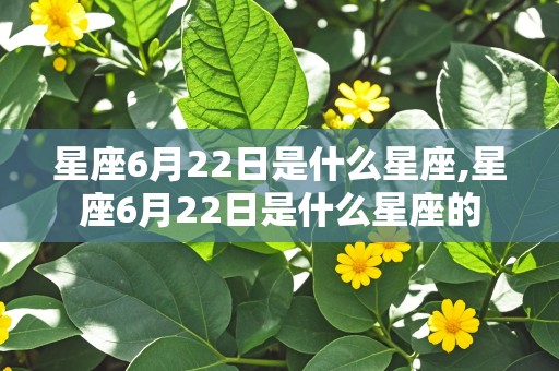 星座6月22日是什么星座,星座6月22日是什么星座的