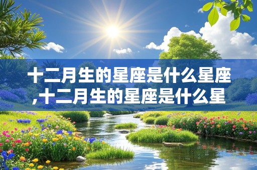 十二月生的星座是什么星座,十二月生的星座是什么星座啊