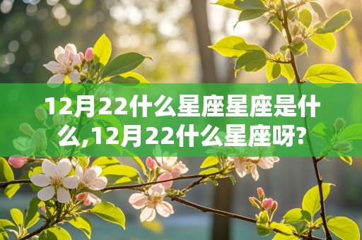 12月22什么星座星座是什么,12月22什么星座呀?