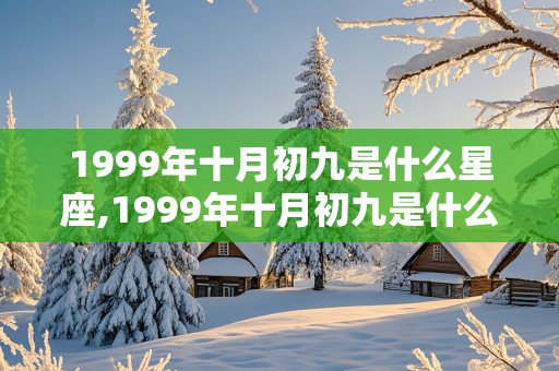 1999年十月初九是什么星座,1999年十月初九是什么星座女