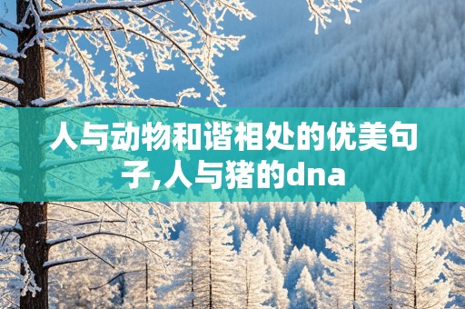 人与动物和谐相处的优美句子,人与猪的dna