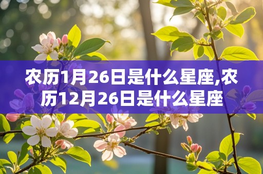 农历1月26日是什么星座,农历12月26日是什么星座