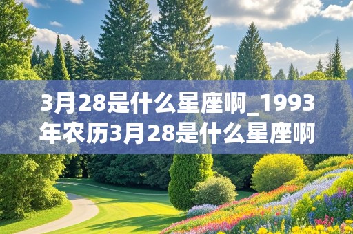 3月28是什么星座啊_1993年农历3月28是什么星座啊