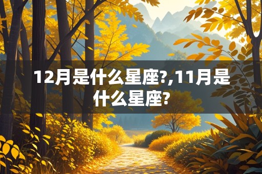 12月是什么星座?,11月是什么星座?