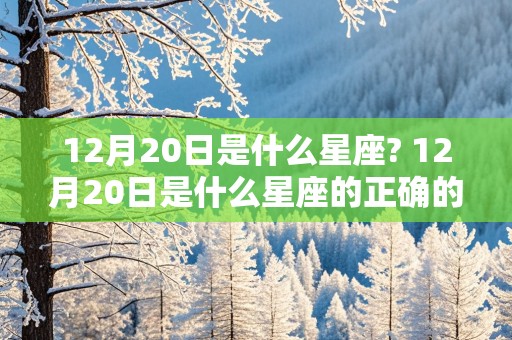 12月20日是什么星座? 12月20日是什么星座的正确的答案