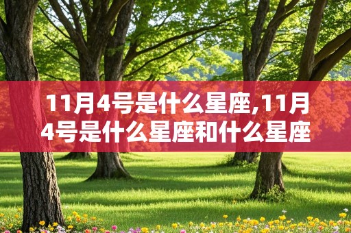 11月4号是什么星座,11月4号是什么星座和什么星座最配