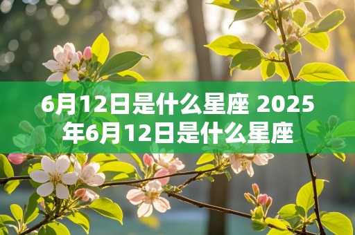 6月12日是什么星座 2025年6月12日是什么星座