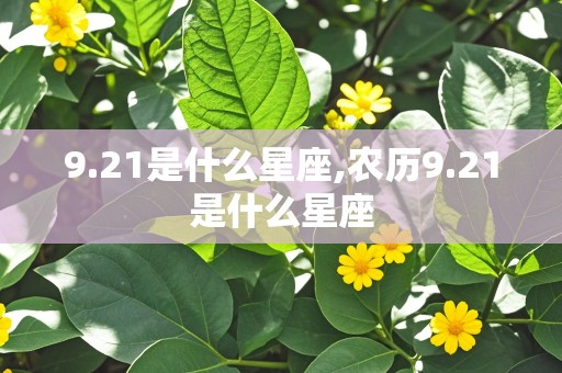 9.21是什么星座,农历9.21是什么星座