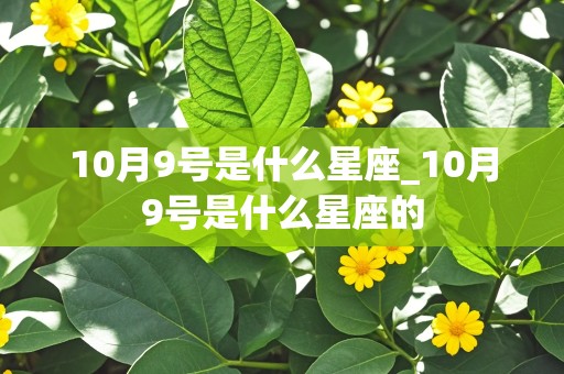 10月9号是什么星座_10月9号是什么星座的