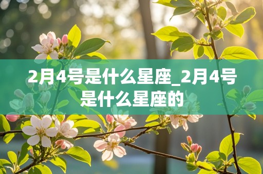 2月4号是什么星座_2月4号是什么星座的