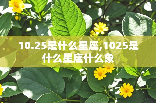 10.25是什么星座,1025是什么星座什么象