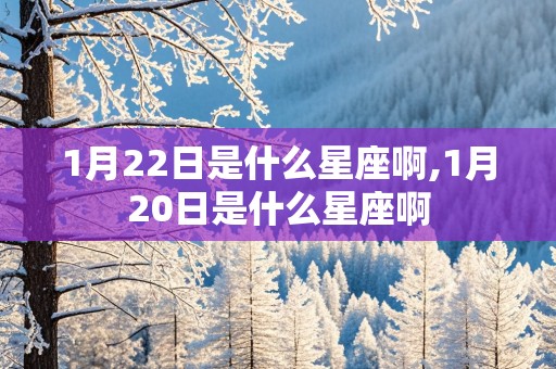 1月22日是什么星座啊,1月20日是什么星座啊